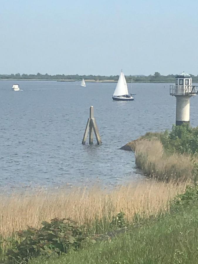 De Lauwersmeer Vogel Mit Eingezaeuntem Garten Anjum Eksteriør billede