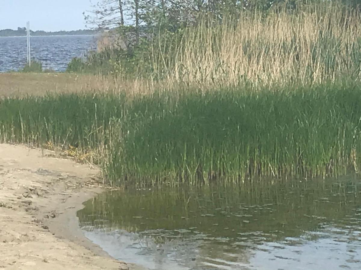 De Lauwersmeer Vogel Mit Eingezaeuntem Garten Anjum Eksteriør billede